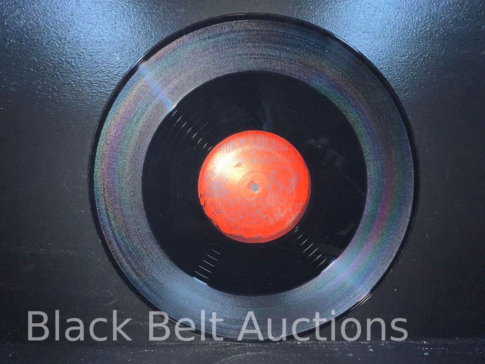 Two Vintage Roky Erickson Vinyl LPs - 10