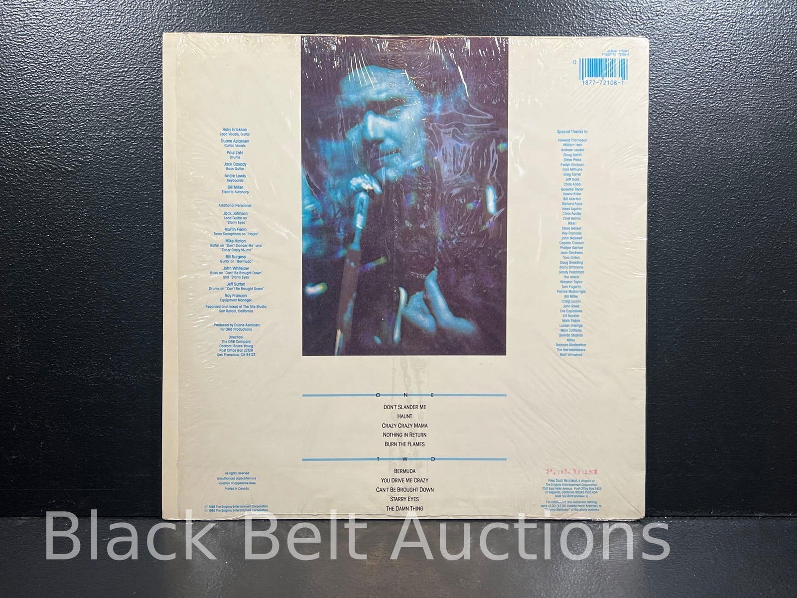 Two Vintage Roky Erickson Vinyl LPs - 3