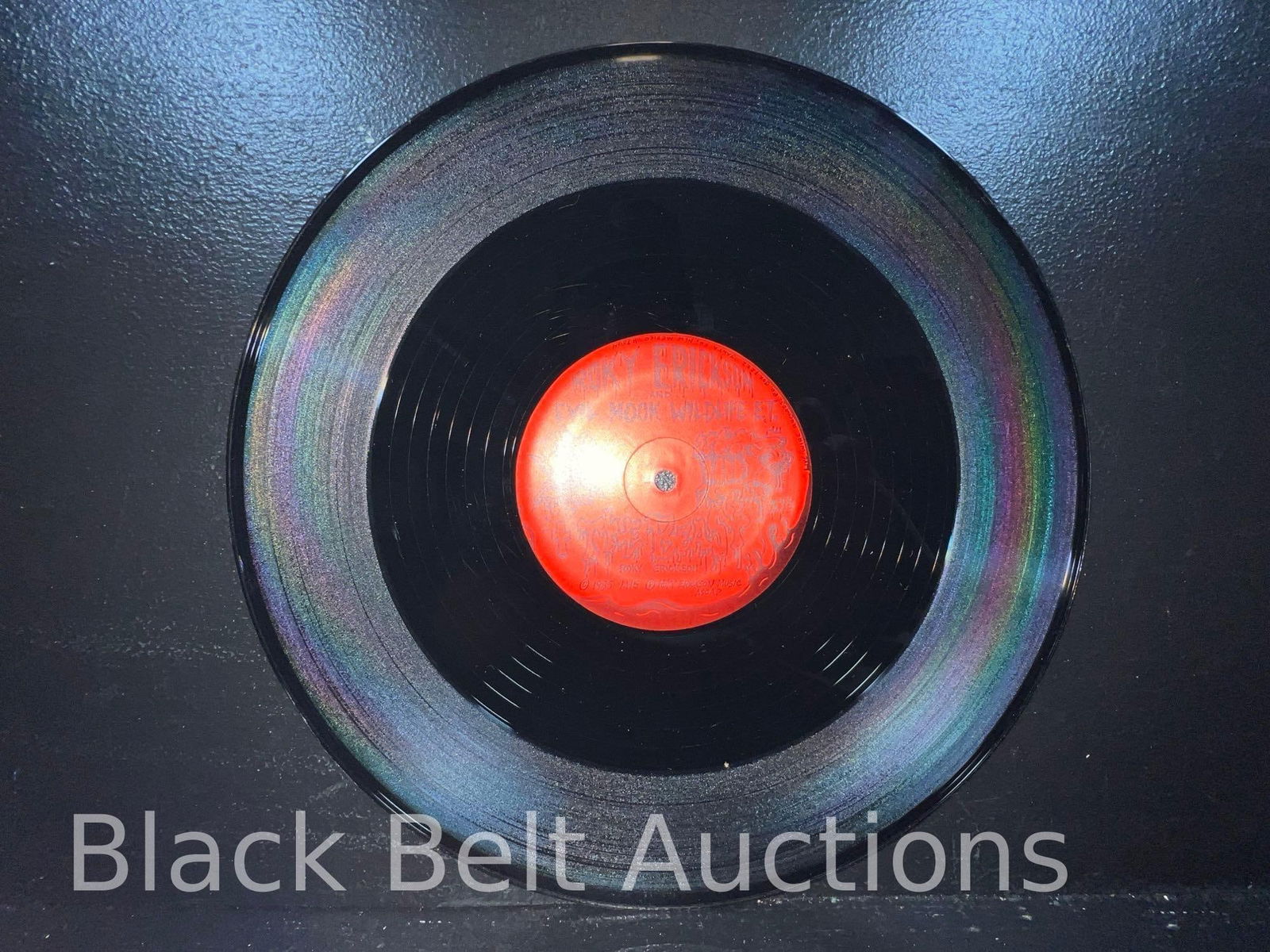 Two Vintage Roky Erickson Vinyl LPs - 9