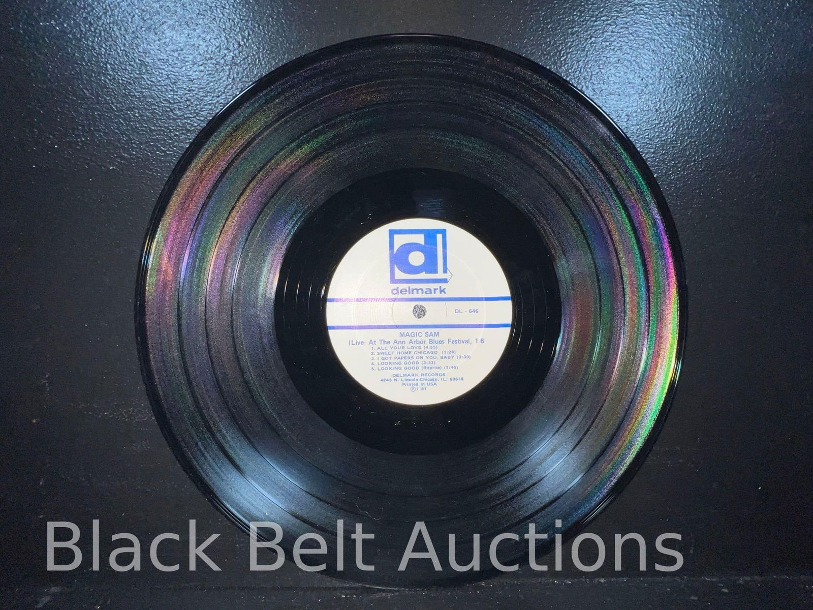 Three Vintage Vinyl Blues LPs - 14