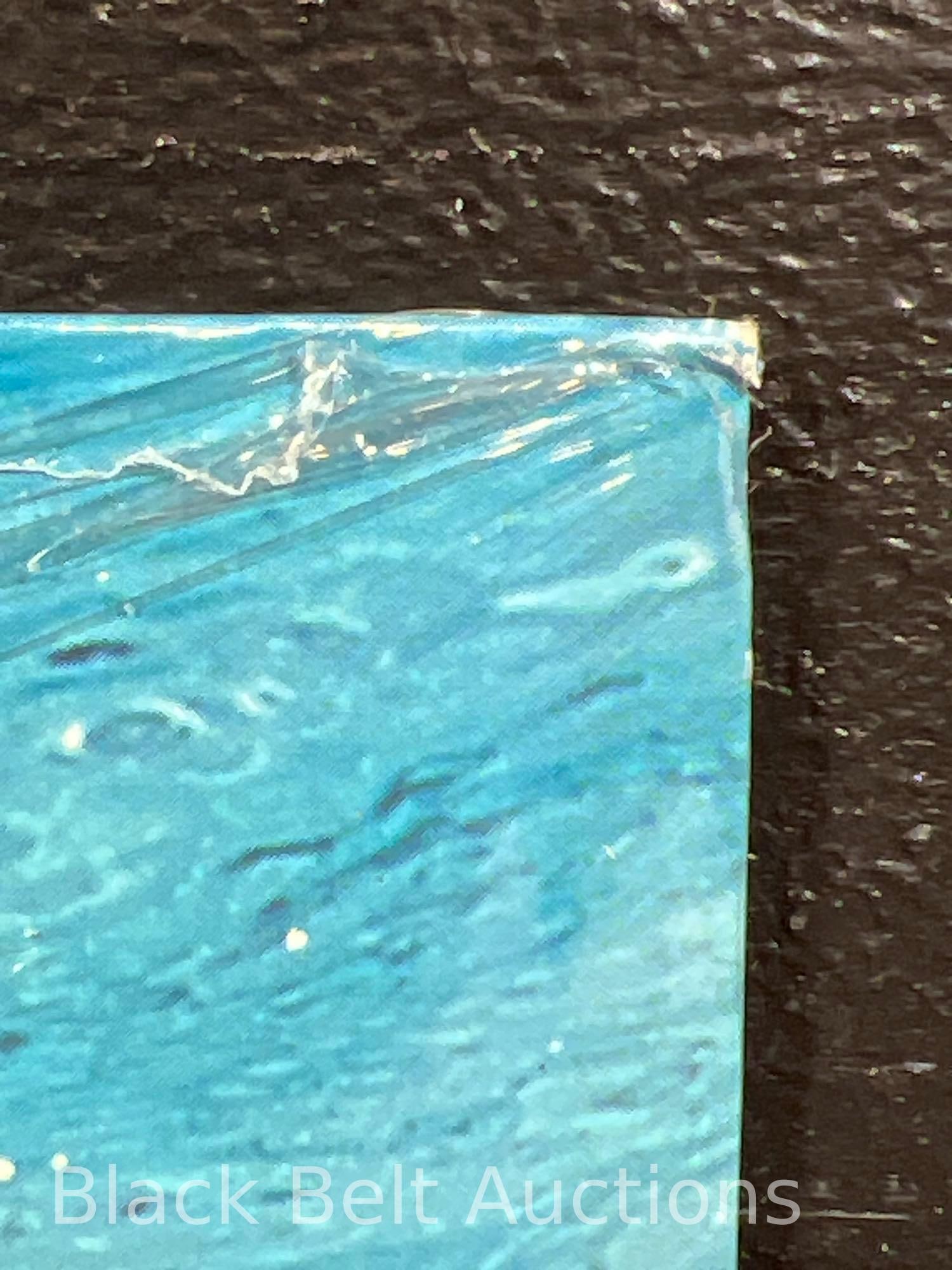 Vintage 1991 Nirvana Nevermind Sealed Club LP - 3