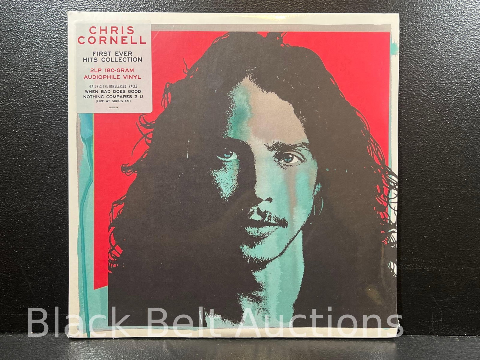 Sealed Ramones and Chris Cornell Vinyl LPs - 5