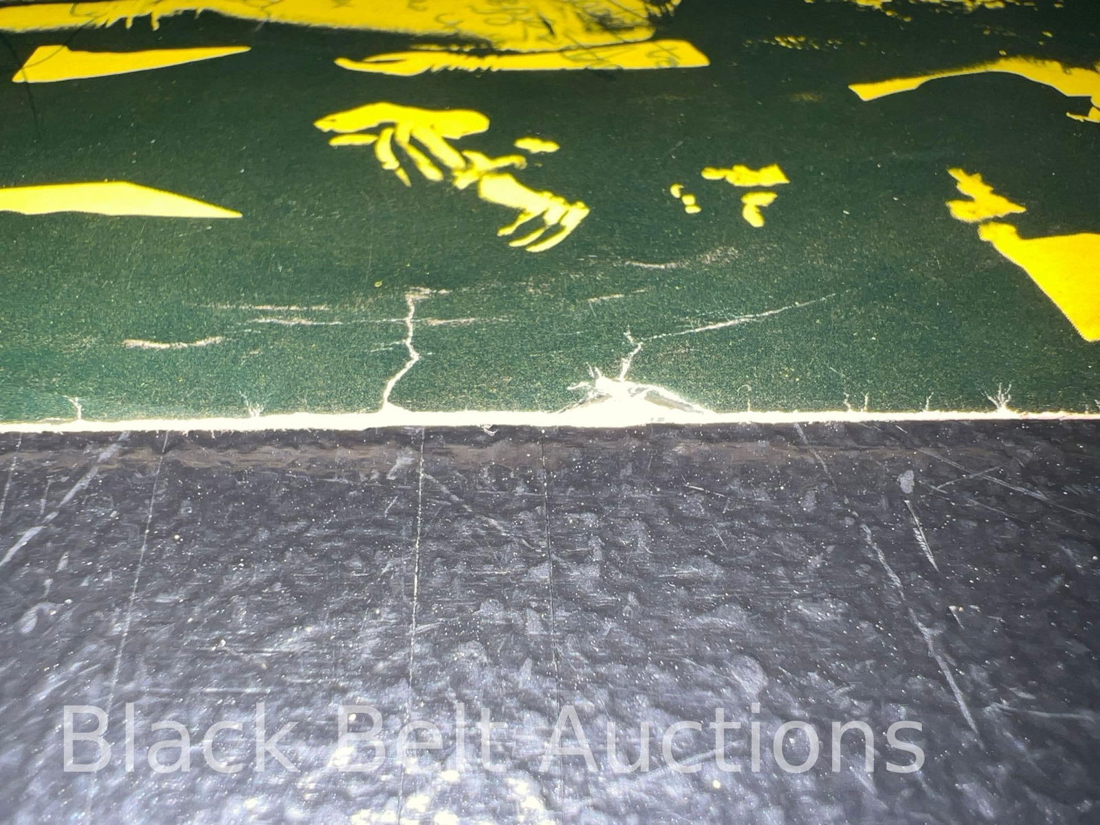 The Cramps "Googoo Muck" 45 Band Signed - 5