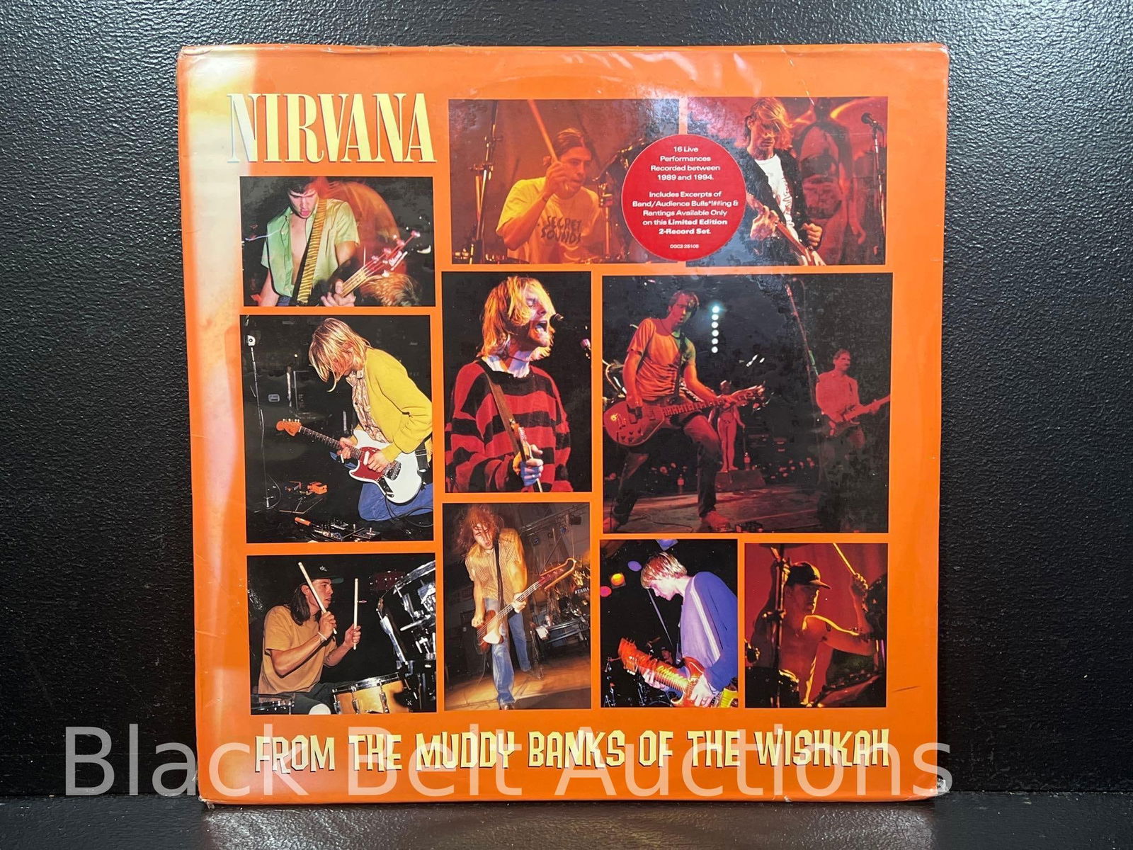 Two Vintage Vinyl Nirvana LPs - 2