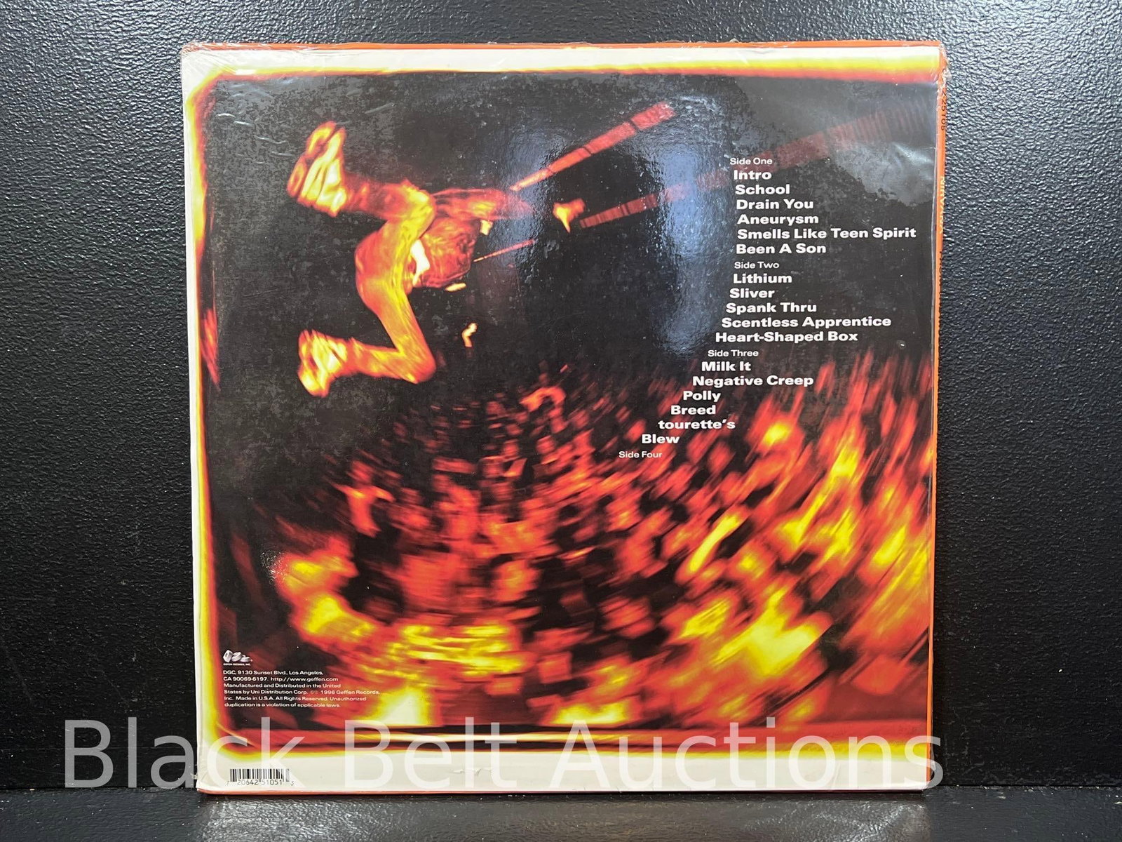 Two Vintage Vinyl Nirvana LPs - 3