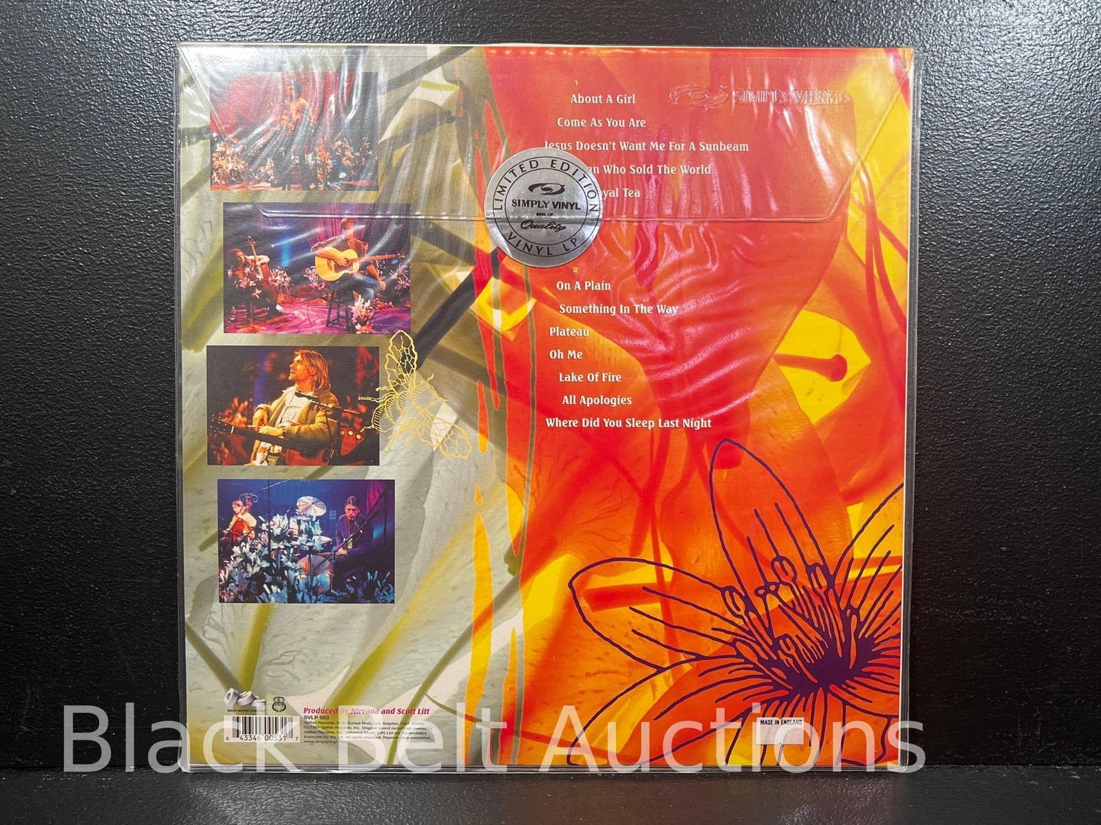 Two Vintage Vinyl Nirvana LPs - 9