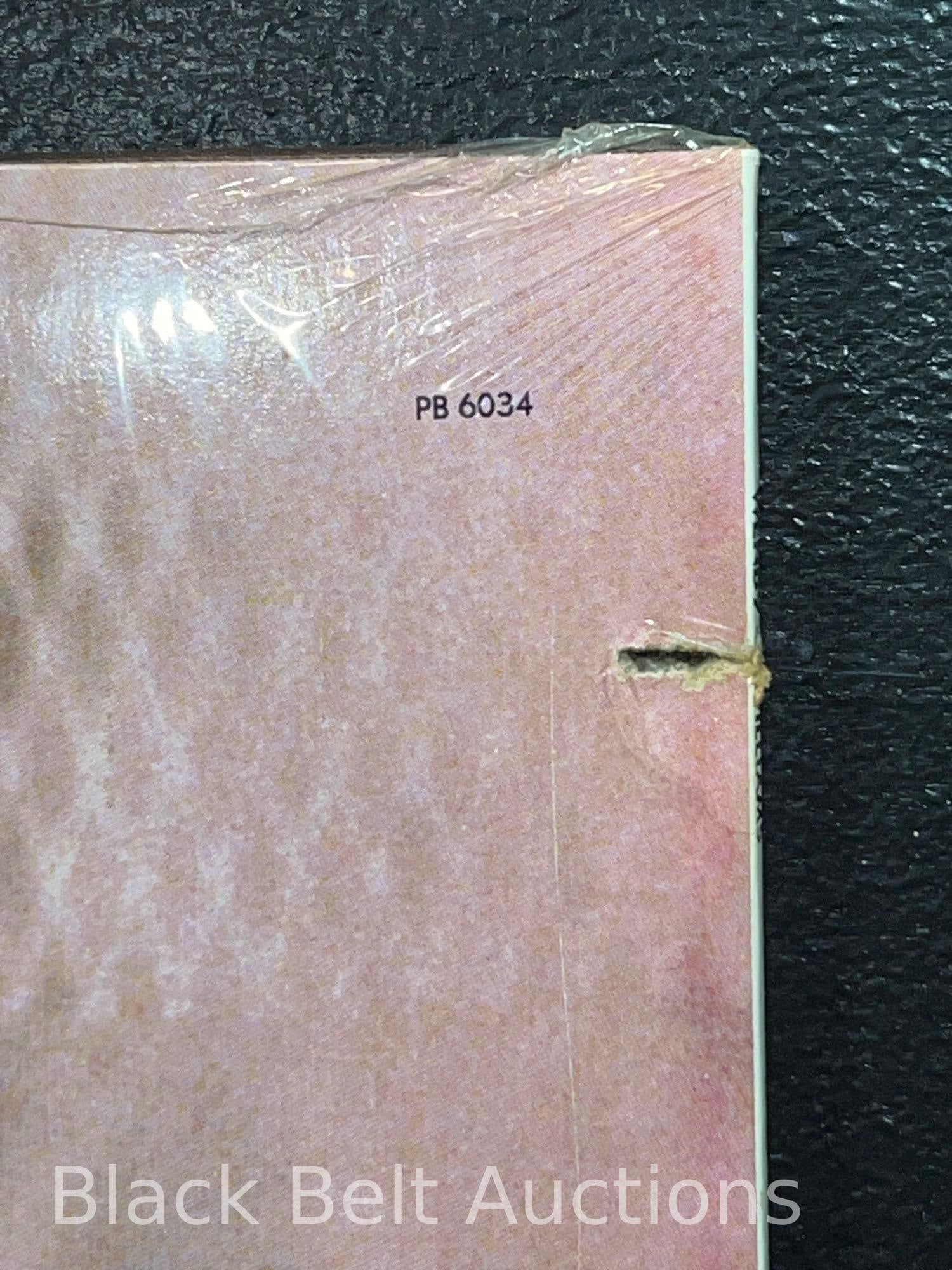 Three Vintage Wendy O Williams/Plasmatics LPs - 13