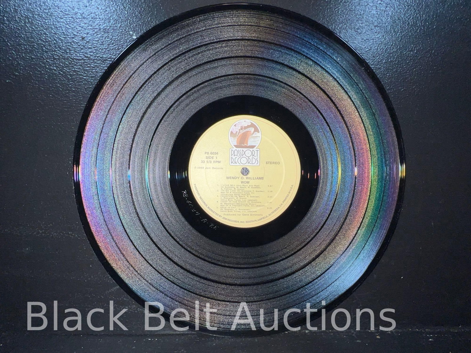 Three Vintage Wendy O Williams/Plasmatics LPs - 14