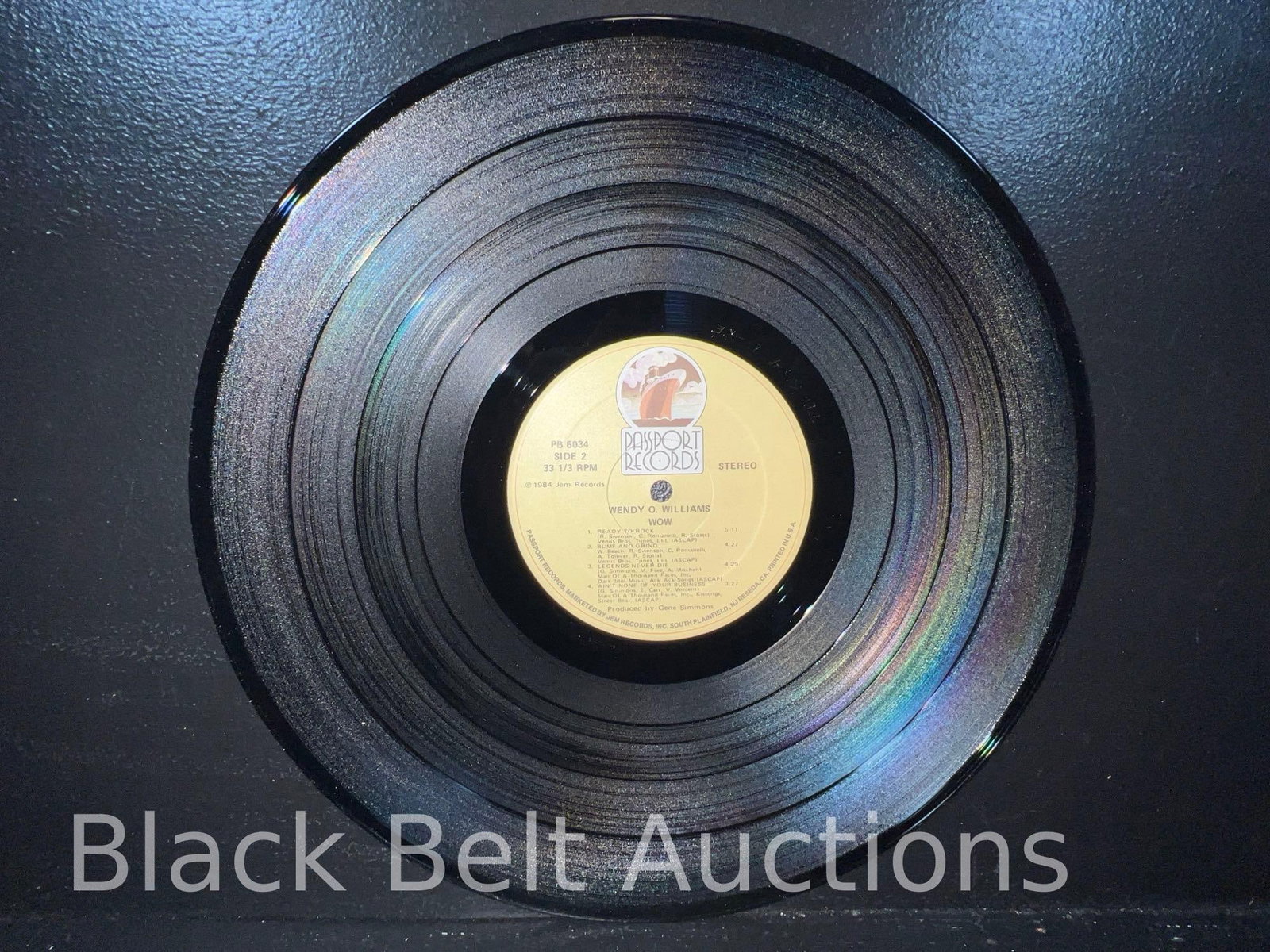 Three Vintage Wendy O Williams/Plasmatics LPs - 15