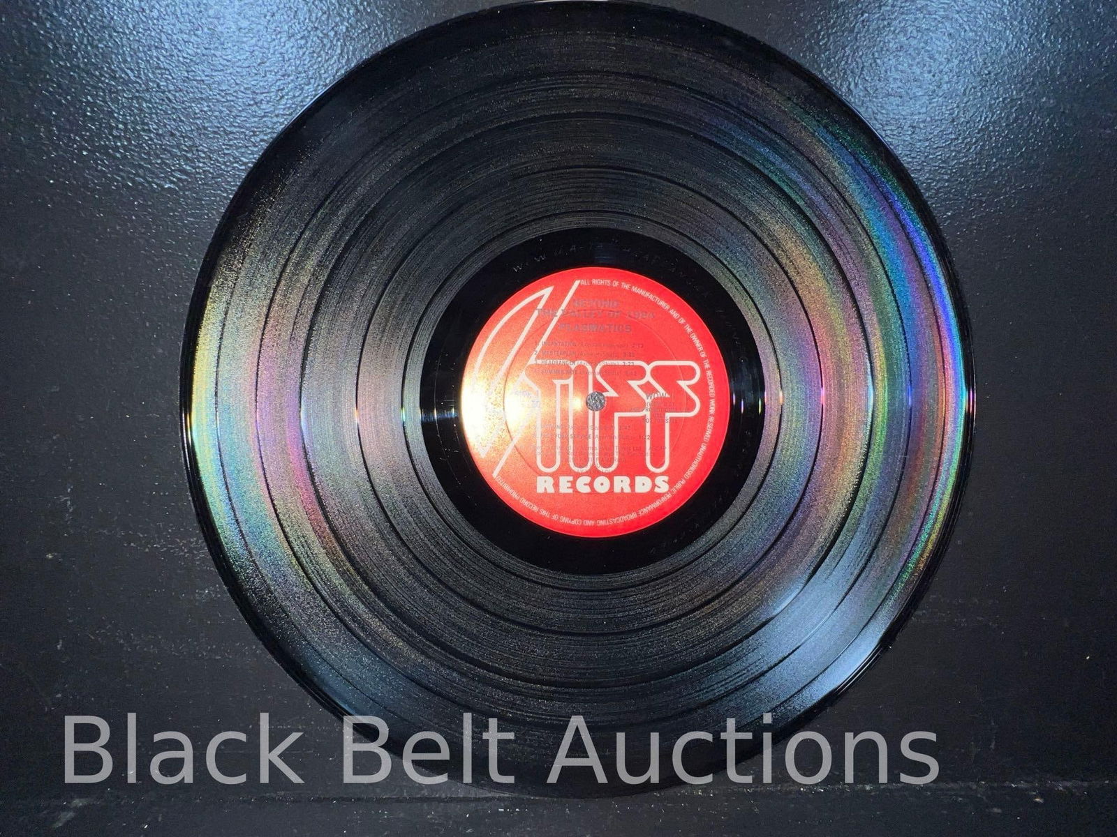 Three Vintage Wendy O Williams/Plasmatics LPs - 5