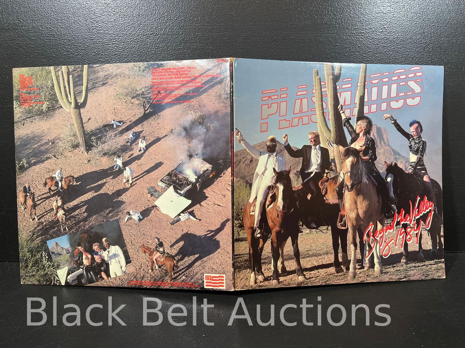 Three Vintage Vinyl Plasmatics LPs - 3