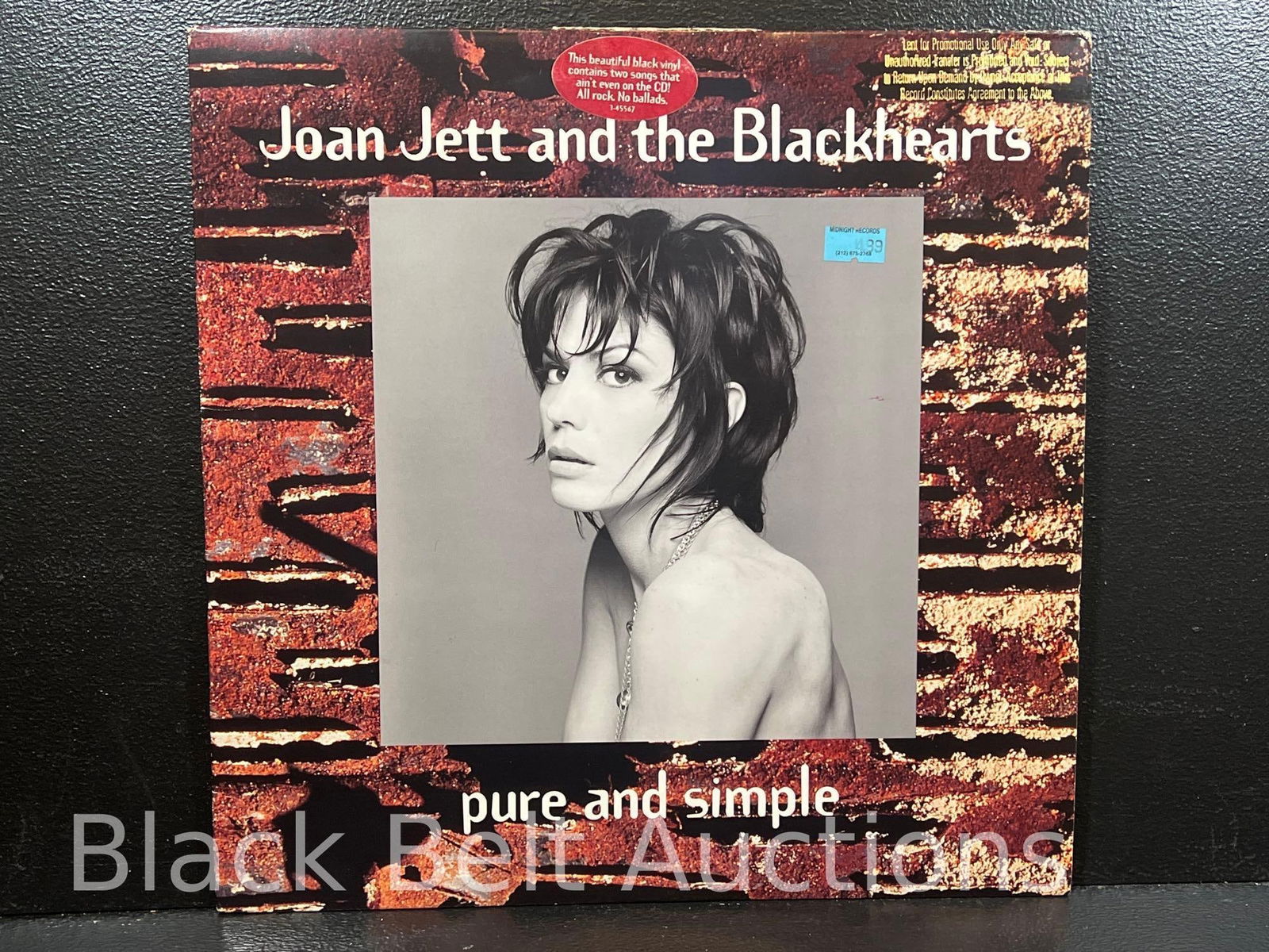 Two Vintage Vinyl LPs by Joan Jett and Nico - 2