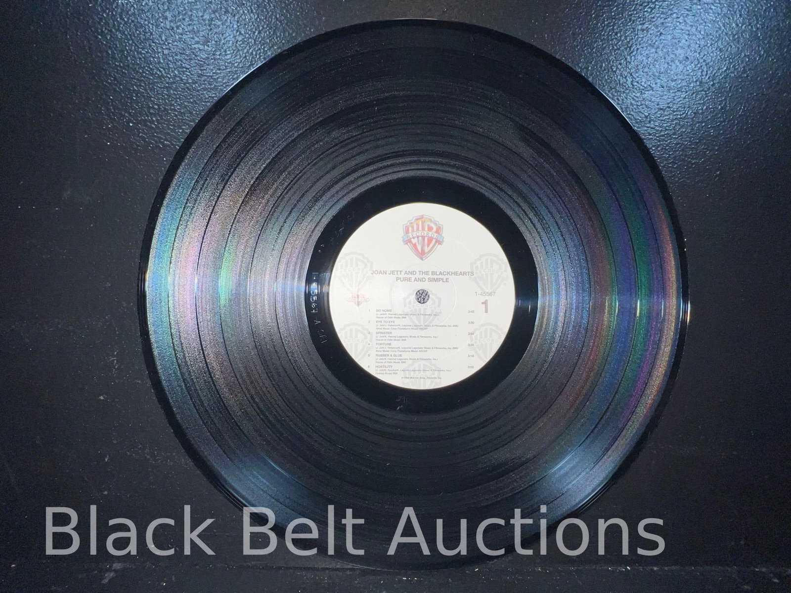 Two Vintage Vinyl LPs by Joan Jett and Nico - 5