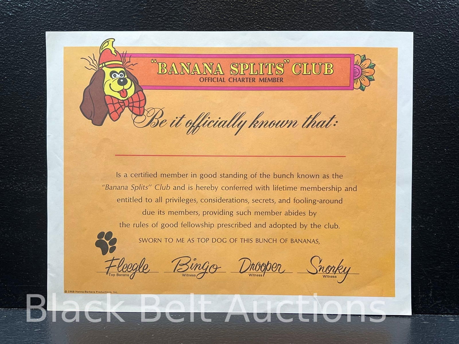 Banana Splits Club Membership Packet - 4