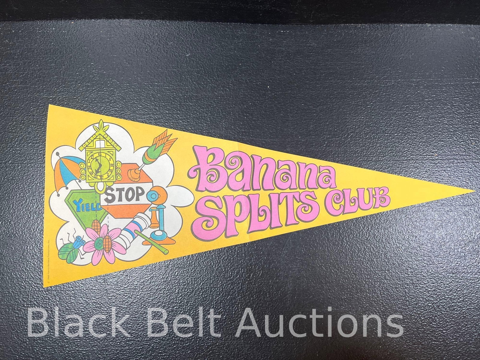 Banana Splits Club Membership Packet - 9