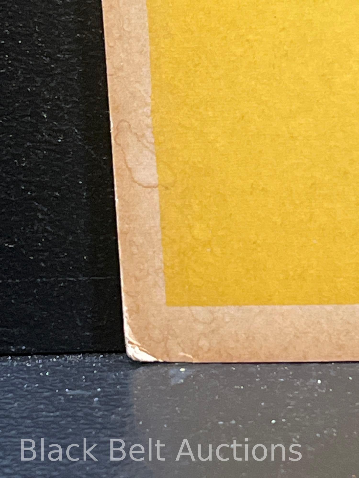 Original Devil's Angels Theater Window Card - 2