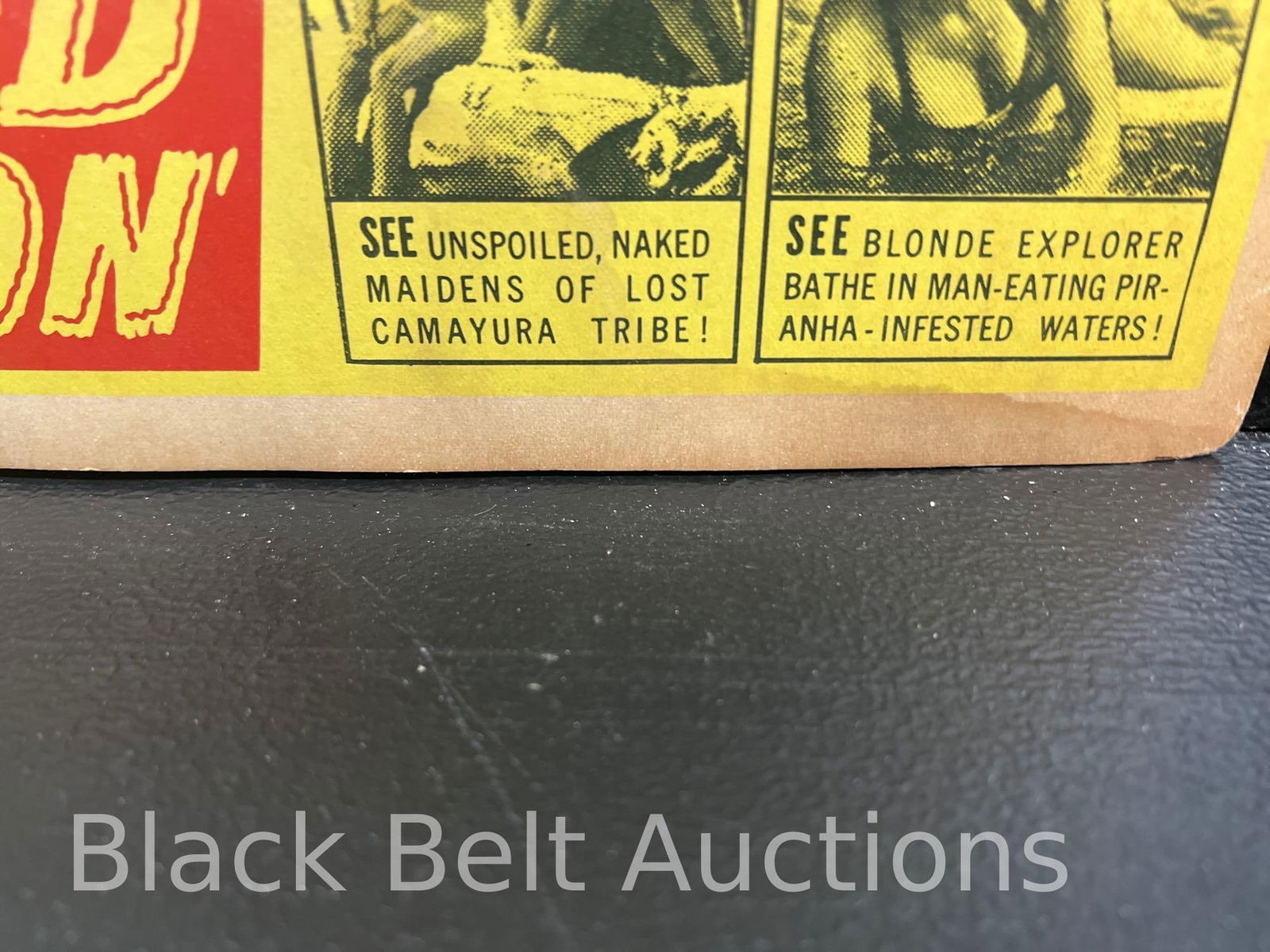 Original Window Card for the Film "Striporama" - 5