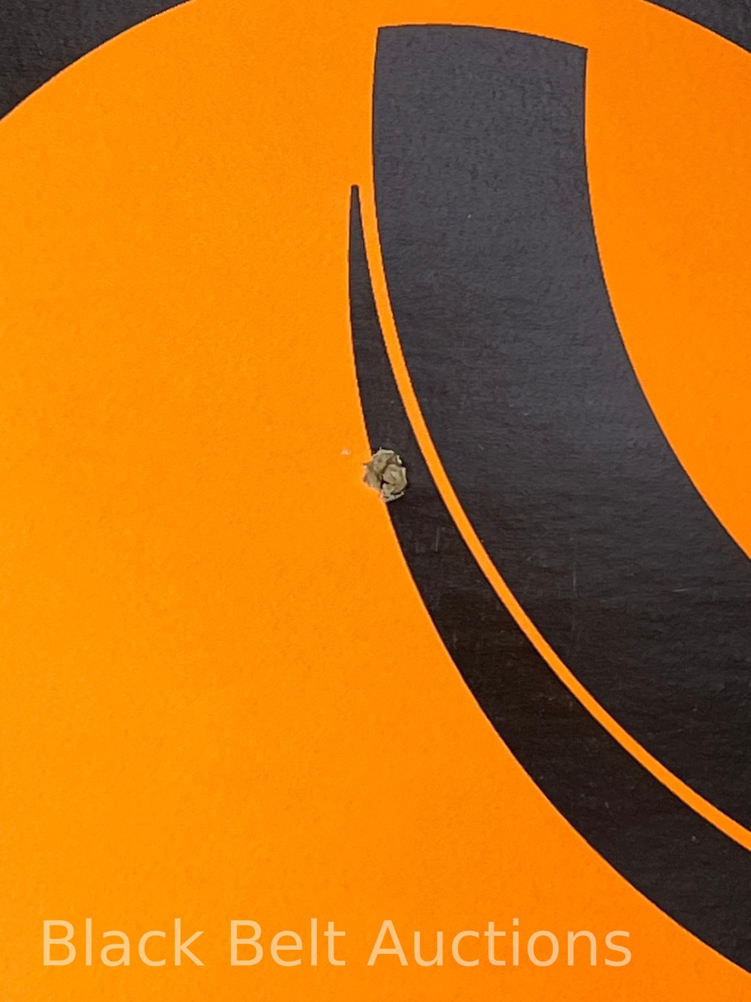 Biohazard Concert Poster - 3