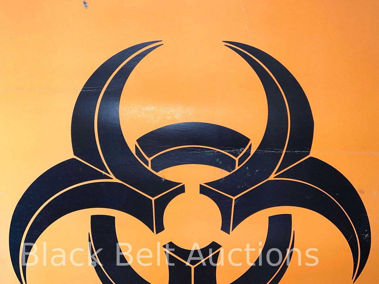 Biohazard Concert Poster - 4