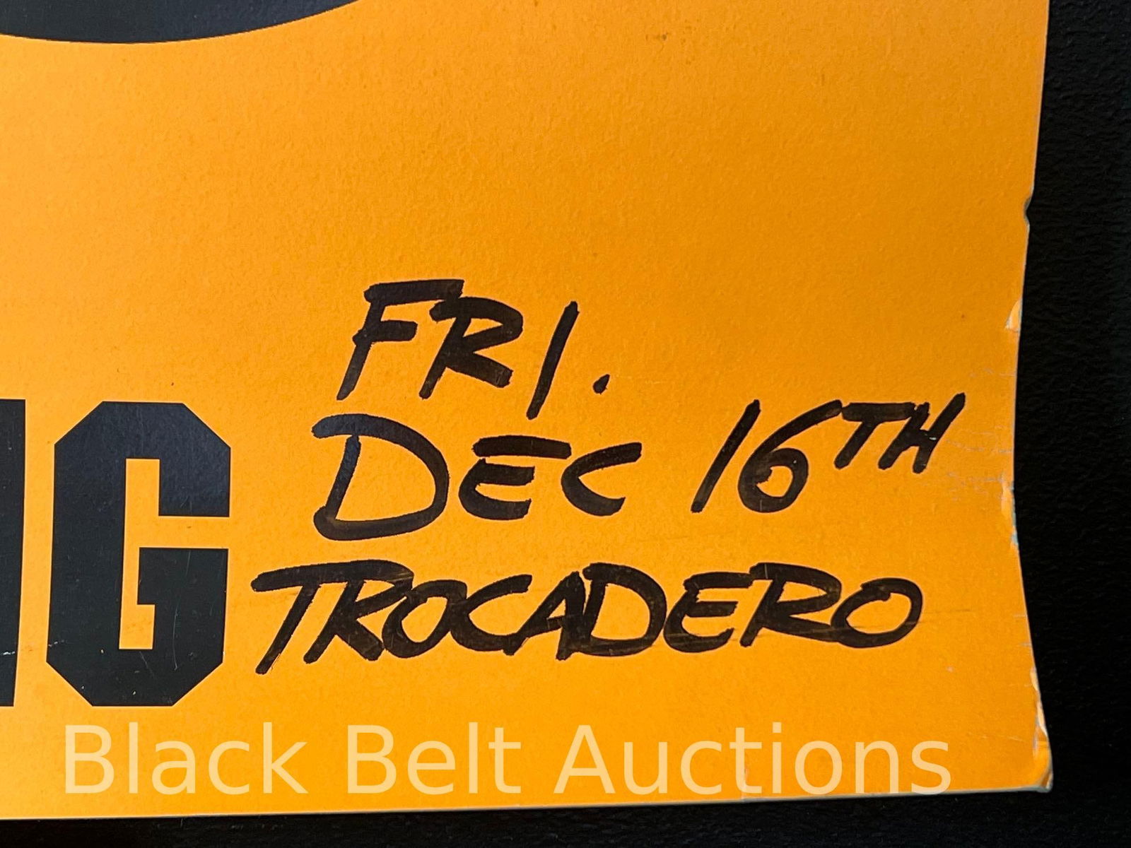 Biohazard Concert Poster - 5