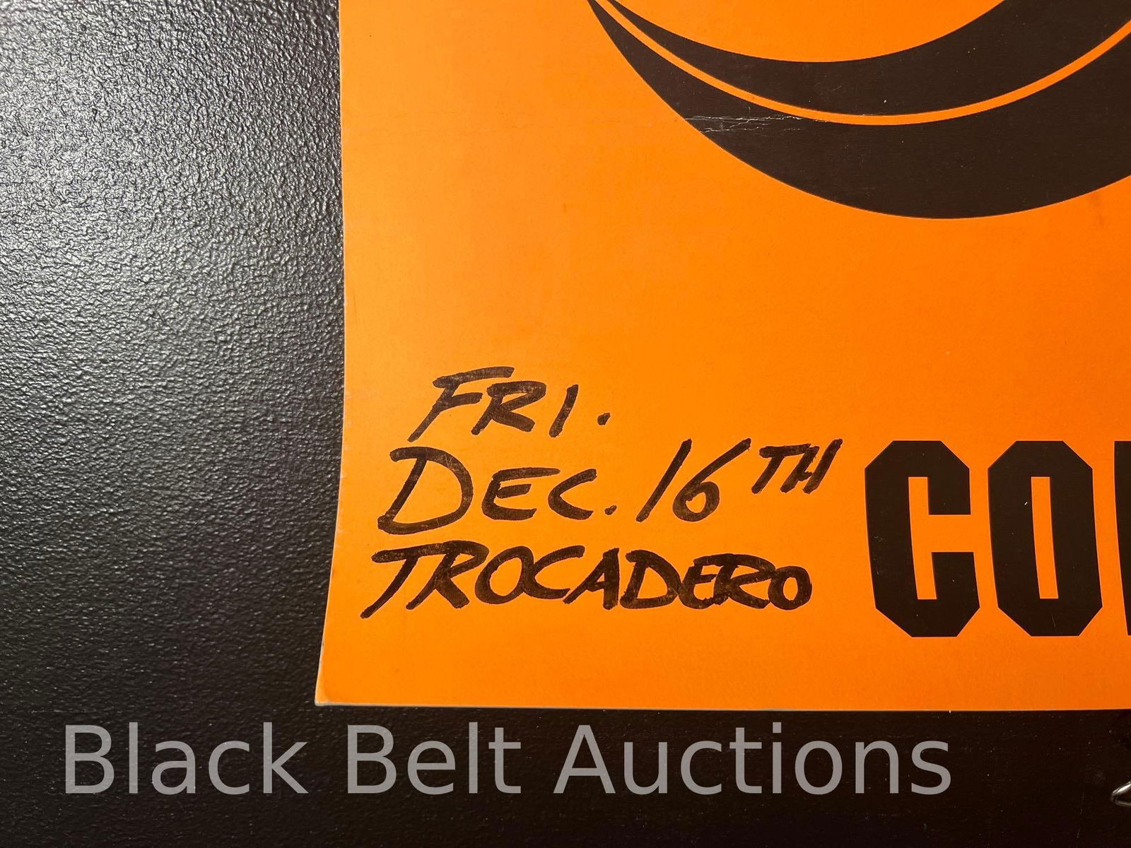 Biohazard Concert Poster - 6