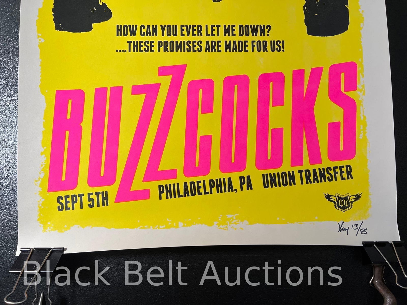 Buzzcocks Concert Poster Signed by the Artist - 3