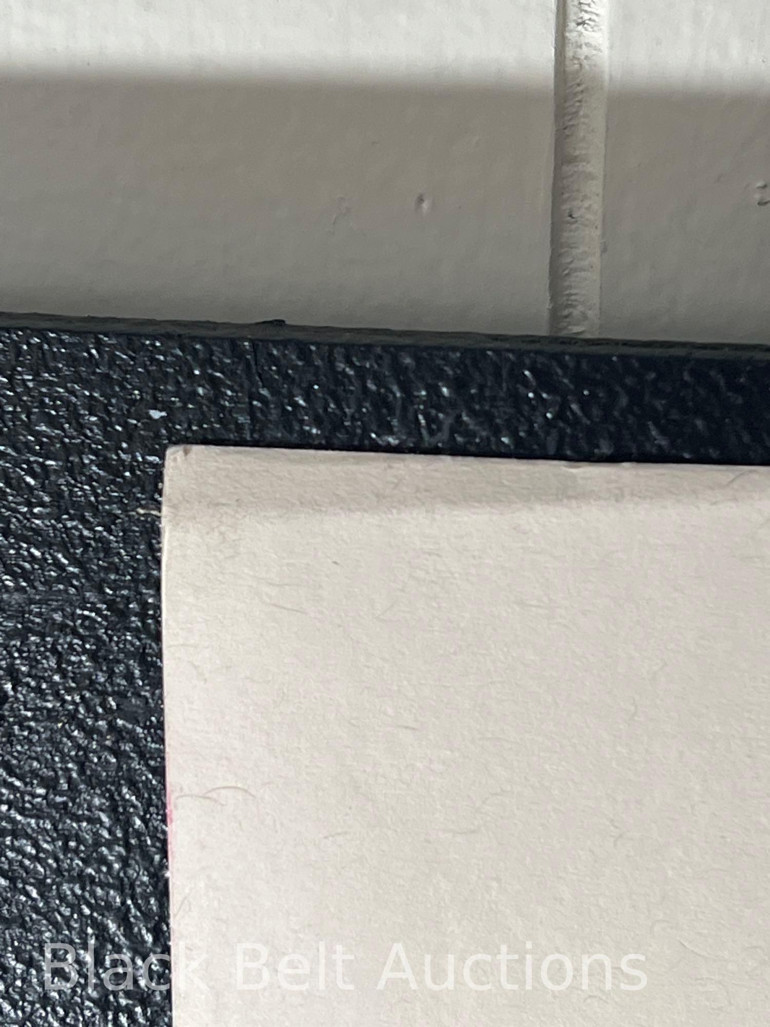 Buzzcocks Concert Poster Signed by the Artist - 6