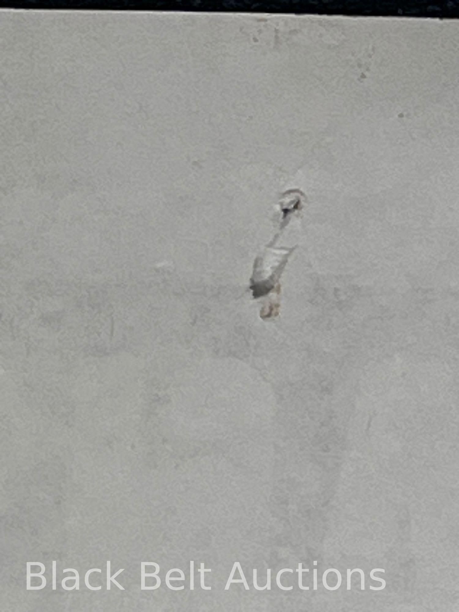 Original "Voodoo Black Exorcist" Movie Poster - 9