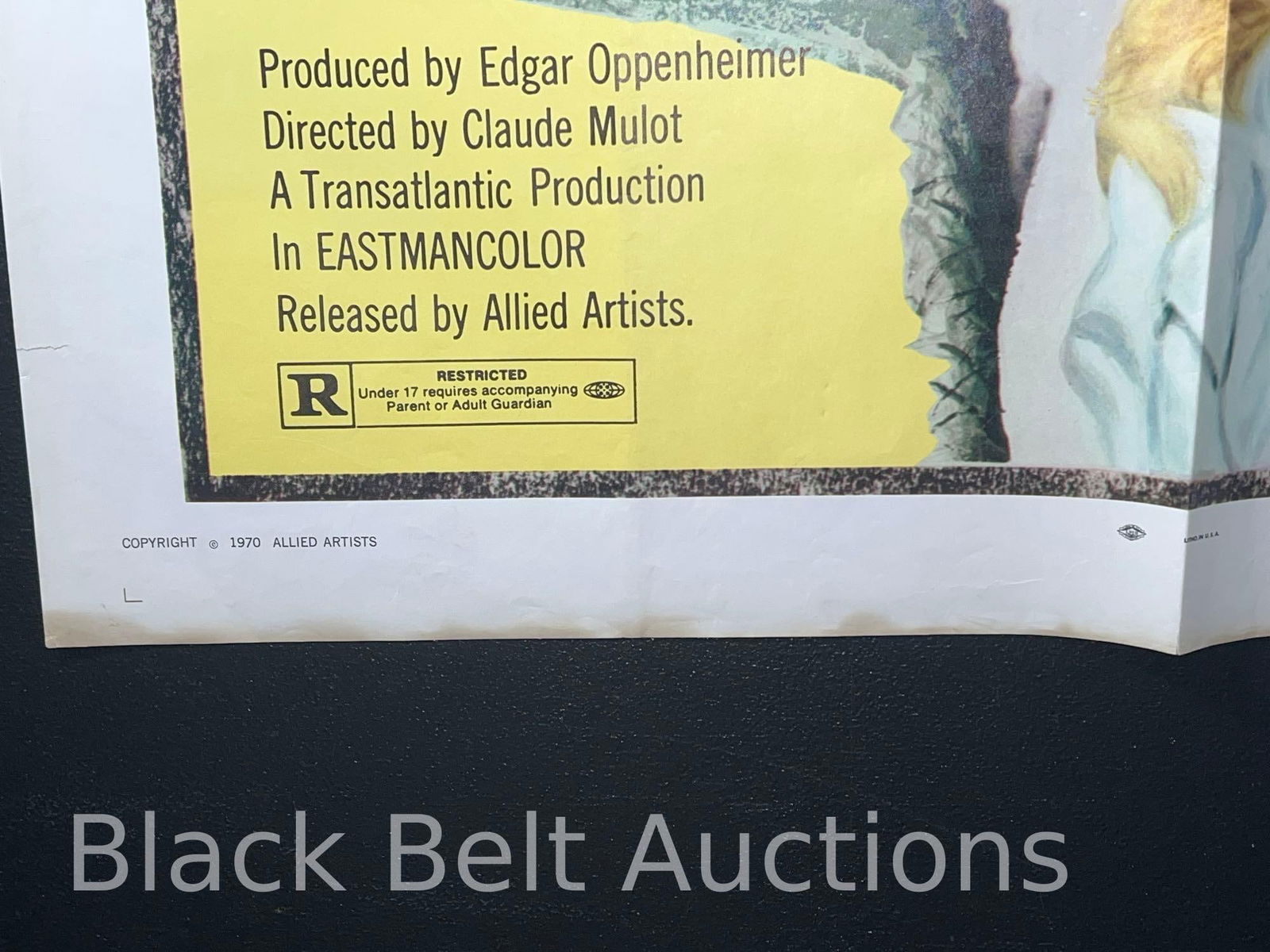 Original "The Blood Rose" Movie Poster - 2