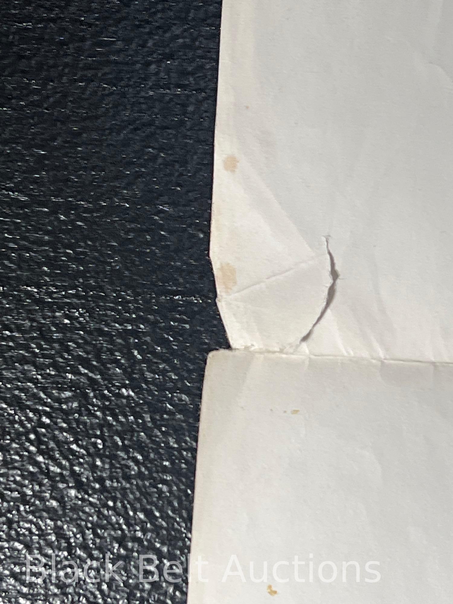 Original "The Blood Rose" Movie Poster - 6