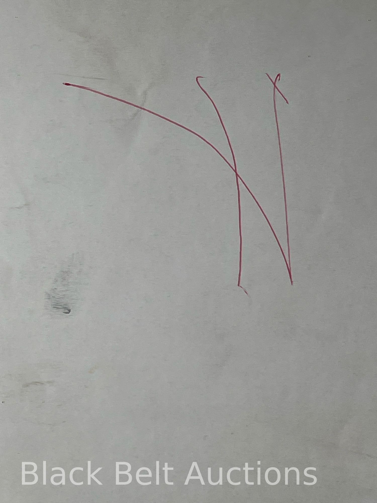 Original "Legacy of Rage" Brandon Lee Poster - 11