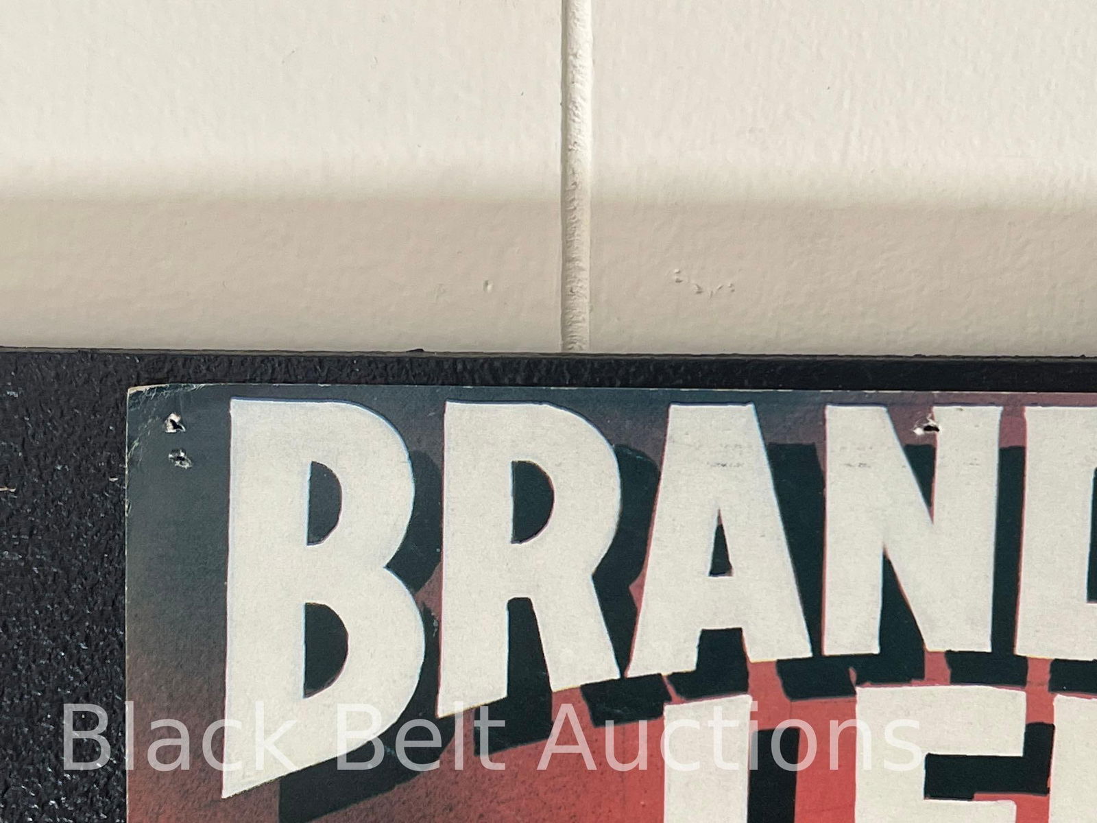 Original "Legacy of Rage" Brandon Lee Poster - 9