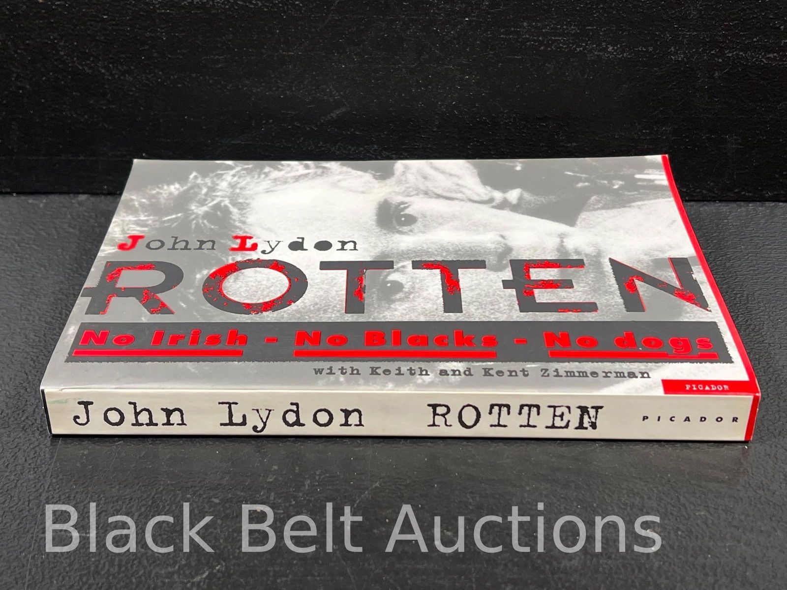 Johnny Rotten Signed Book - 3