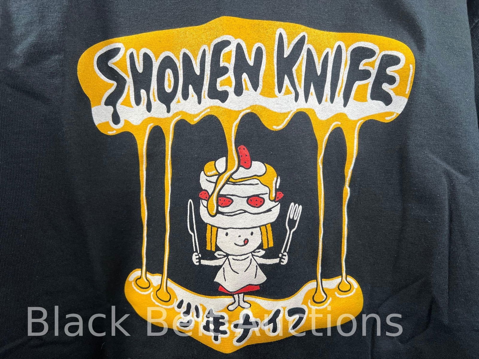 Rare Shonen Knife 2013 Tour T-Shirt M - 2