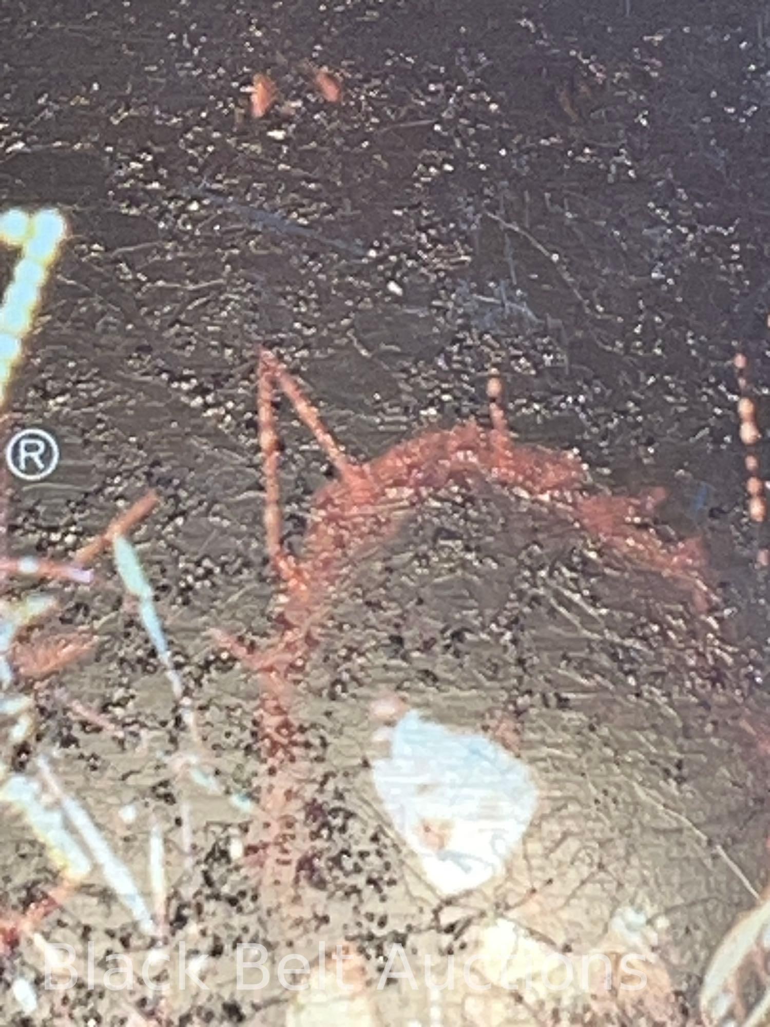 Original 1977 KISS Lunchbox and Bottle - 3