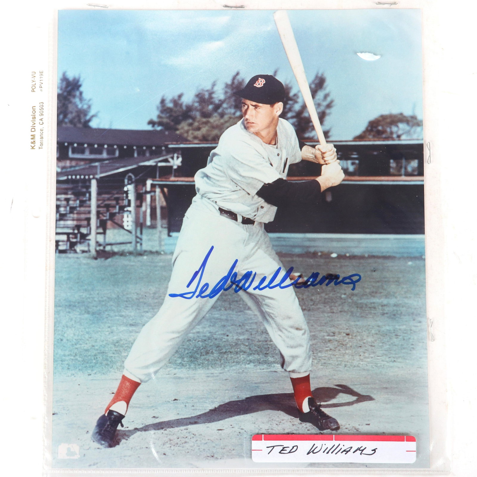 Ted Williams Autographed 8x10 Color Photo: Ted Williams Autographed 8x10 Color Photo