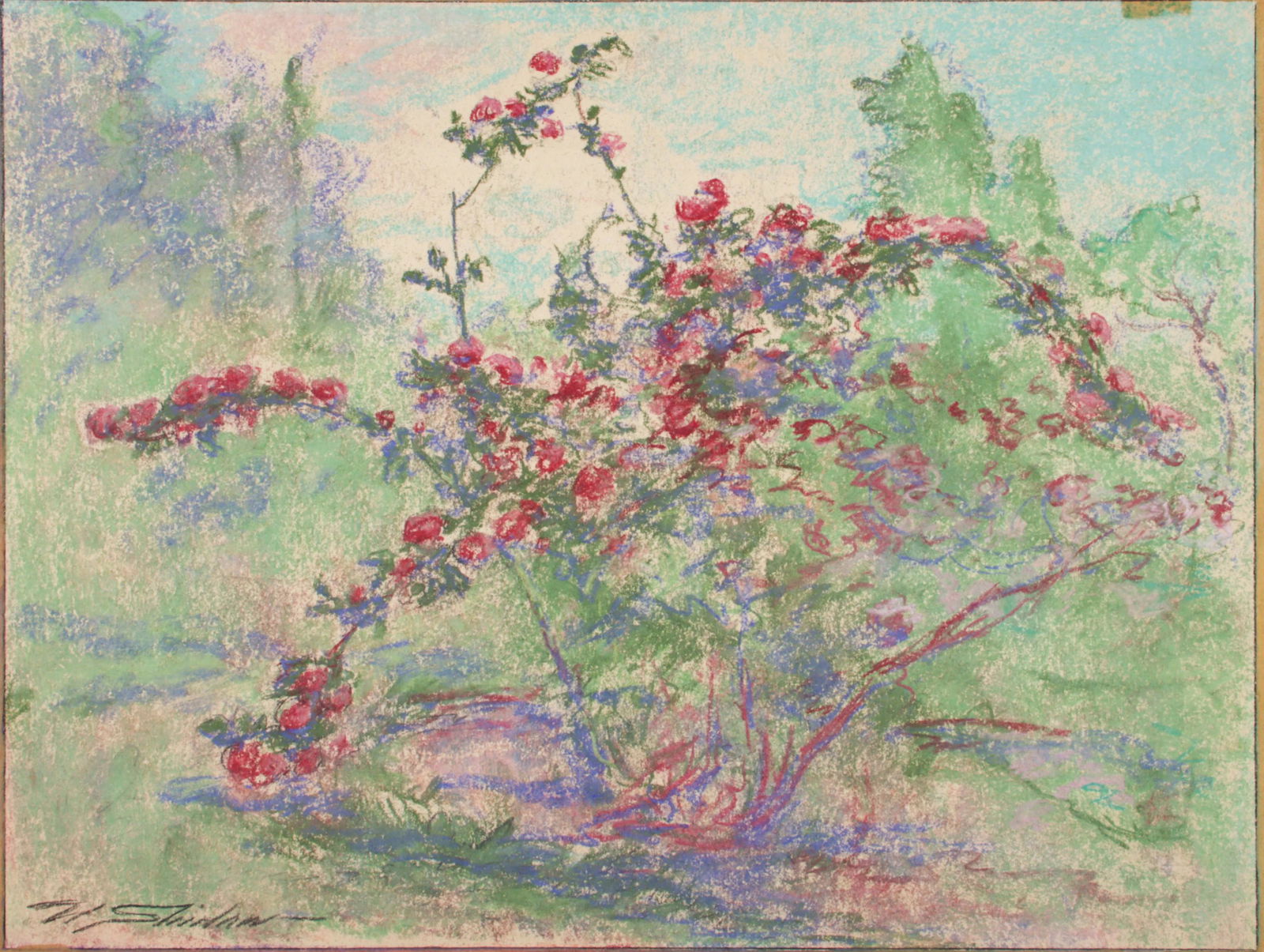 Walter Shirlaw, Illinois / Spain, Scotland (1838 - 1909), Rose Bush, pastel on paper, 14 1/2"H x 18: Walter Shirlaw Illinois / Spain, Scotland (1838 - 1909) Rose Bush pastel on paper signed and dated lower left. Biography from the Archives of askART: Walter Shirlaw, born on August 6, 1838, was only t