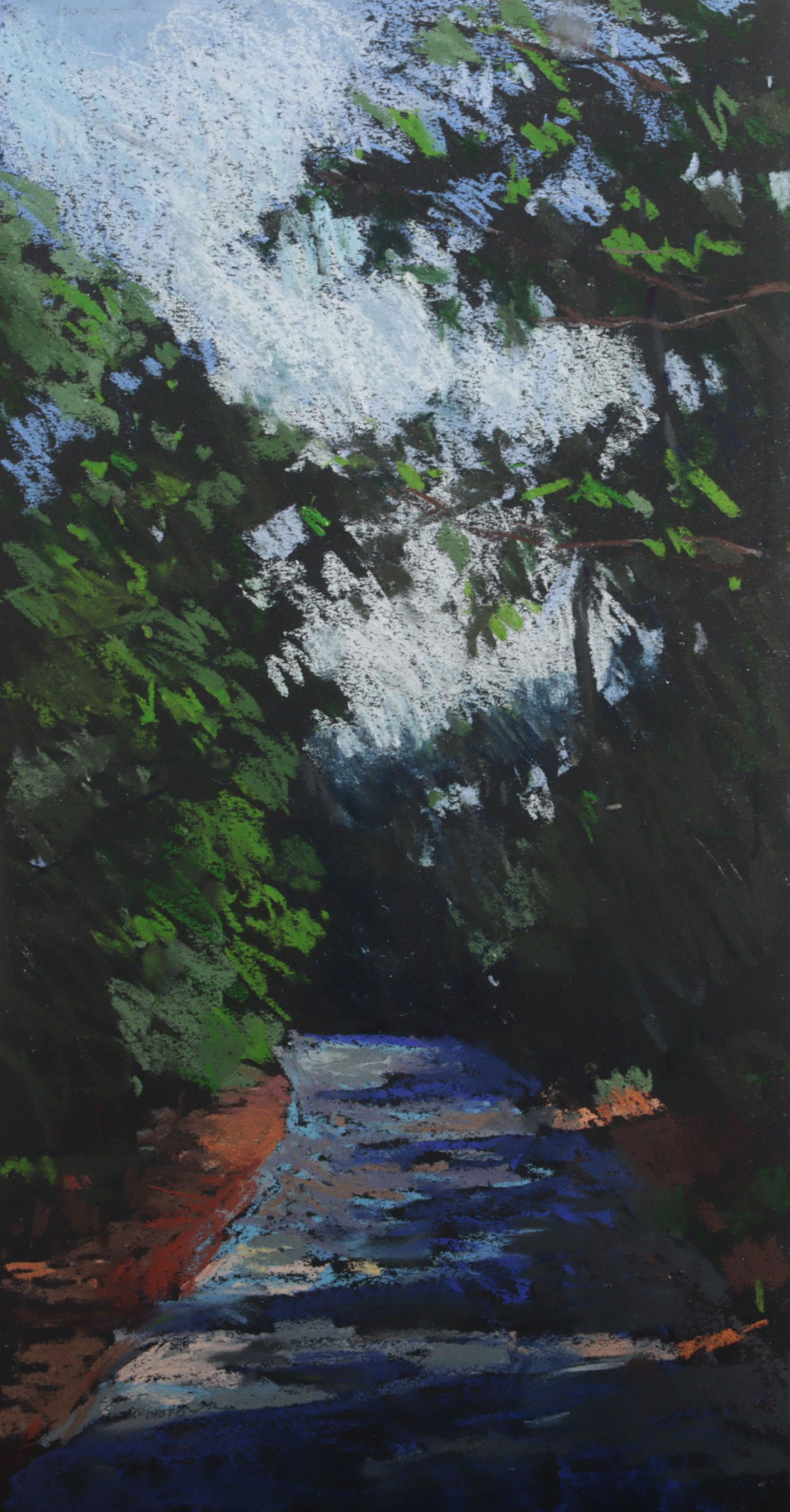 Larry Horowitz, New Jersey, New York, Massachusetts (B. 1956), Path Shadows, 2003, pastel on paper, (1 of 7)