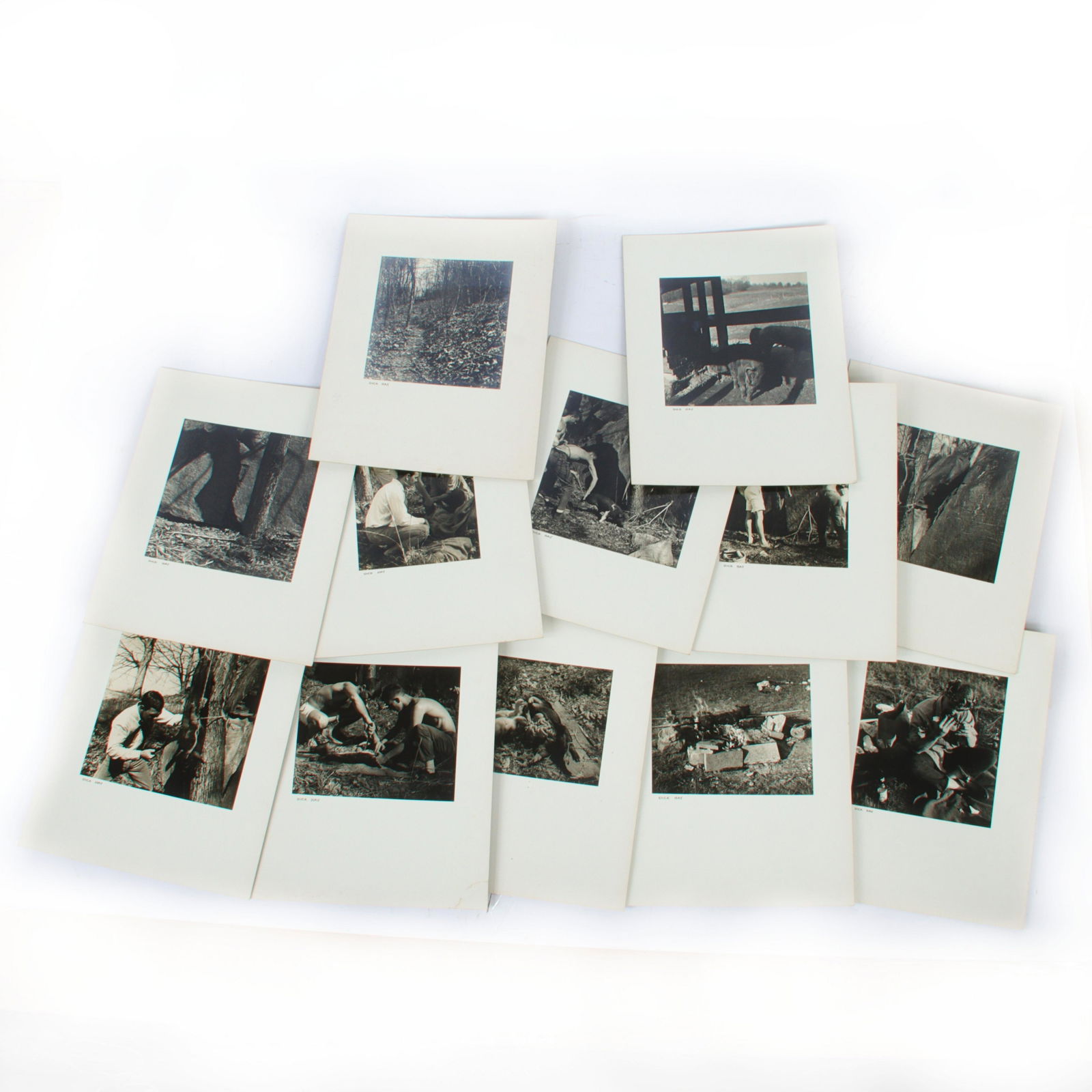 Richard "Dick" Hay, Indiana (1942-2020), 12 untitled photographs of pig slaughter, photographs, 7 (1 of 6)