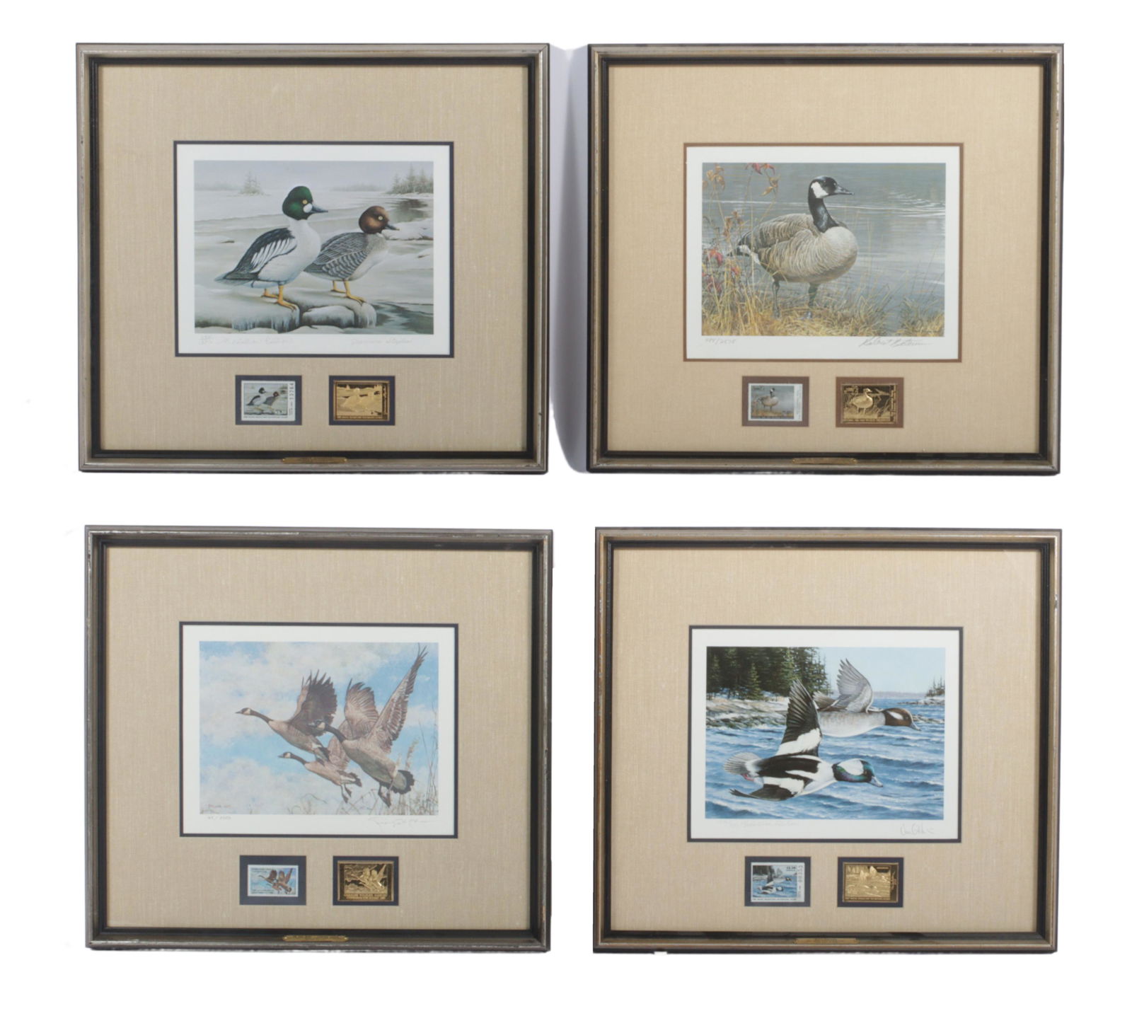 Lot of 4 limited edition wildlife prints of various fowl including: Jeannine Staples, Robert (1 of 9)