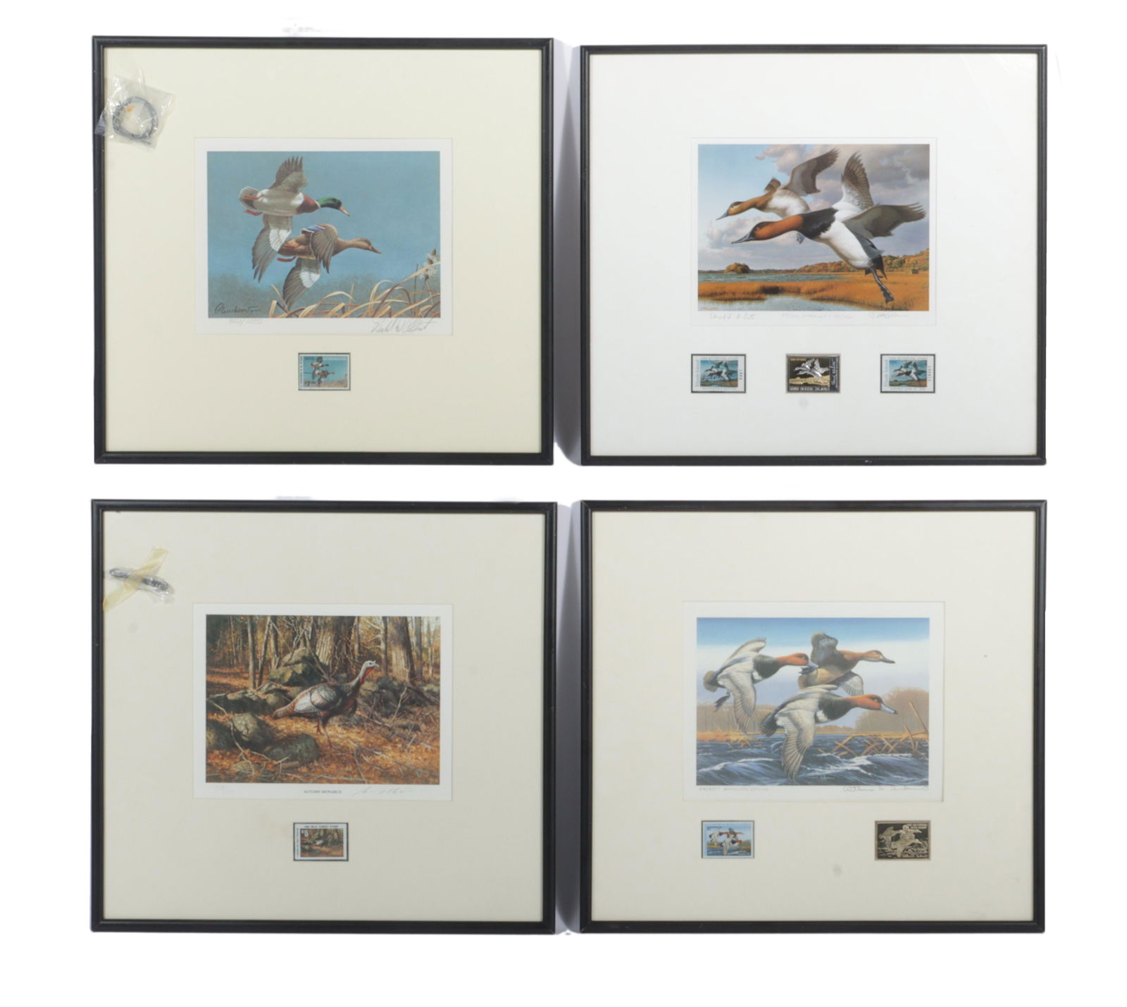 Lot of 4 limited edition wildlife prints of various fowl including: Robert Steiner, Robert K. (1 of 10)
