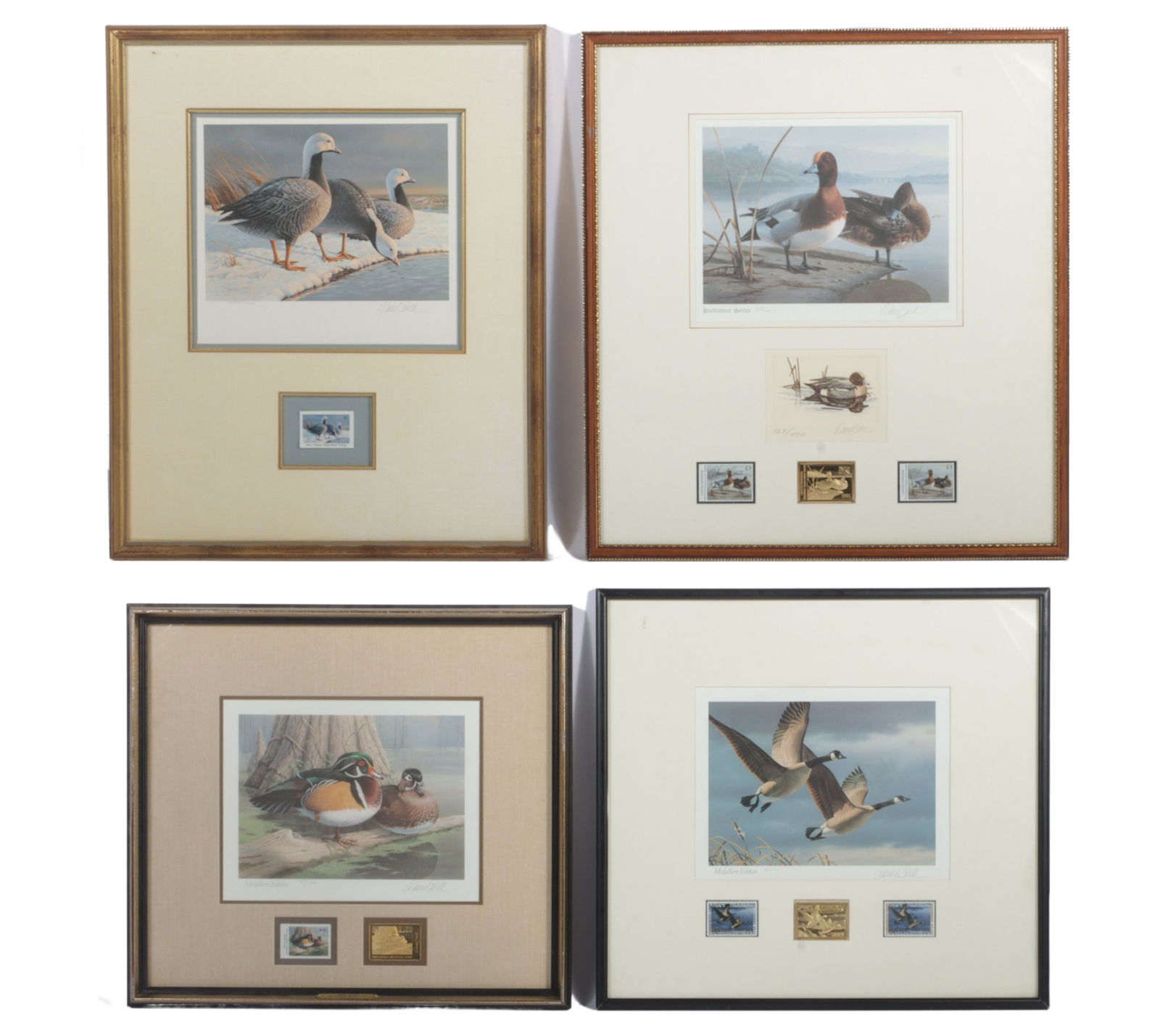 Lot of 4 Daniel Smith limited edition wildlife prints of various fowl 19 1/2" x 17 3/4" (largest) (1 of 9)