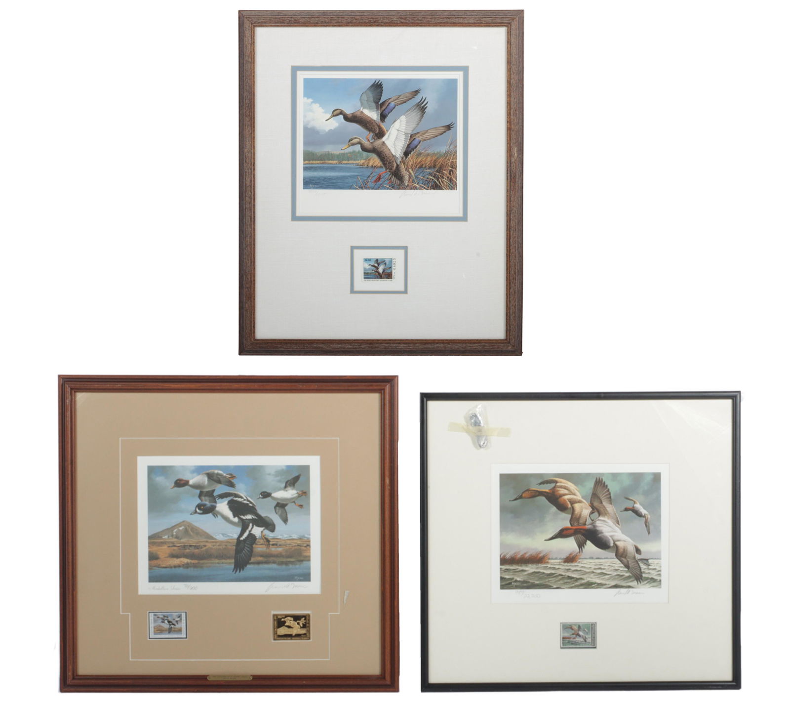 Lot of 3 David Mass limited edition wildlife duck prints 21" x 17" (largest) (1 of 8)
