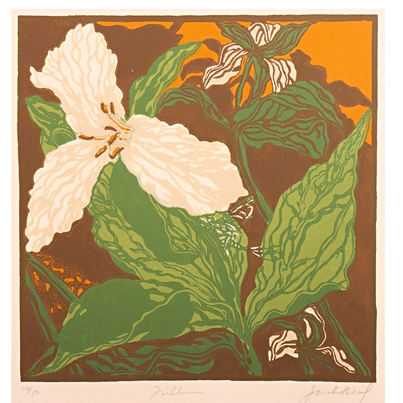 Jack Beal, New York, Illinois (1931 - 2013), Trillium, 1977, linocut, 18 1/2"H x 15 1/2"W (sheet) (1 of 13)