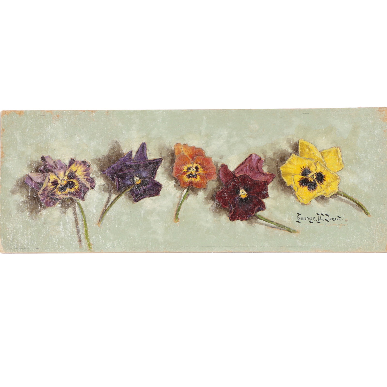 George W. Drew, New York (1875-1968), pansy flower study, 1935, oil on canvas mounted on board, 6"H: George W. Drew New York (1875-1968) pansy flower study, 1935 oil on canvas mounted on board Signed lower right. From the Archives of askArt: Biography from Rehs Galleries, Inc. George W. Drew was born
