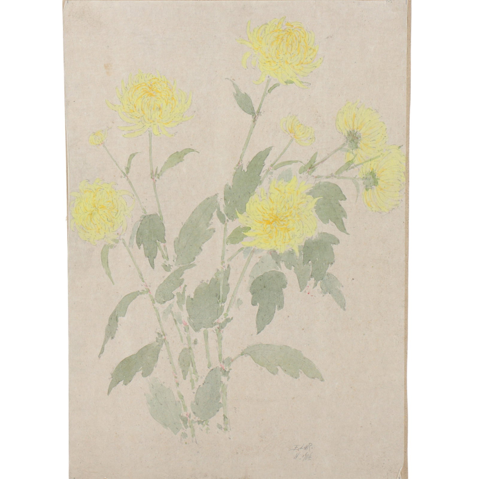 Elmer Livingston MacRae, Connecticut (1875 - 1953), Chrysanthemums, 1904, watercolor on Japan paper, (1 of 9)