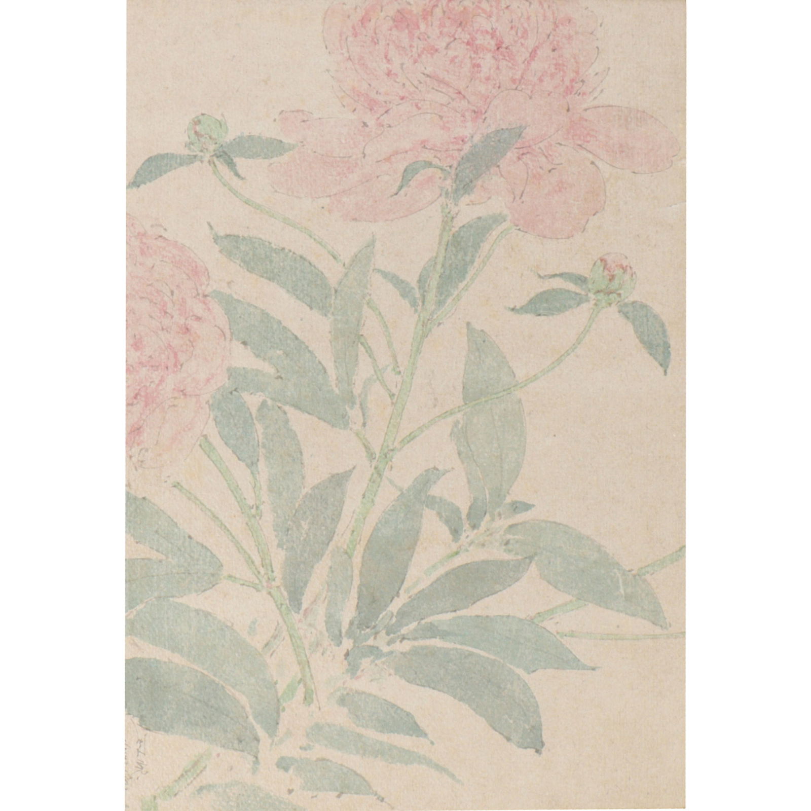 Elmer Livingston MacRae, Connecticut (1875 - 1953), Peonies, 1902, watercolor on Japan paper, 15"H x (1 of 9)