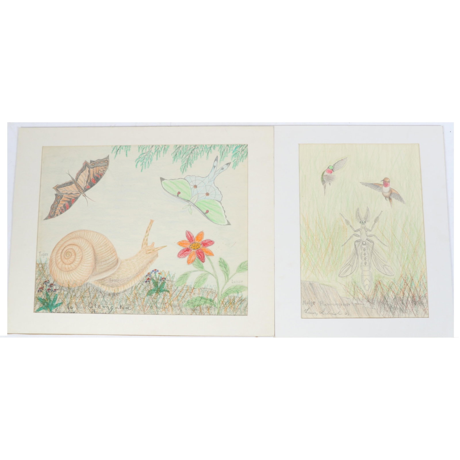 Lawrence Lebduska, New York, Maryland / Germany (1894 - 1966), snail and moths, and insect and: Lawrence Lebduska New York, Maryland / Germany (1894 - 1966) snail and moths, and insect and hummingbirds in a landscape, 1961 crayon and pencil on paper signed lower left. Biography from the Archives