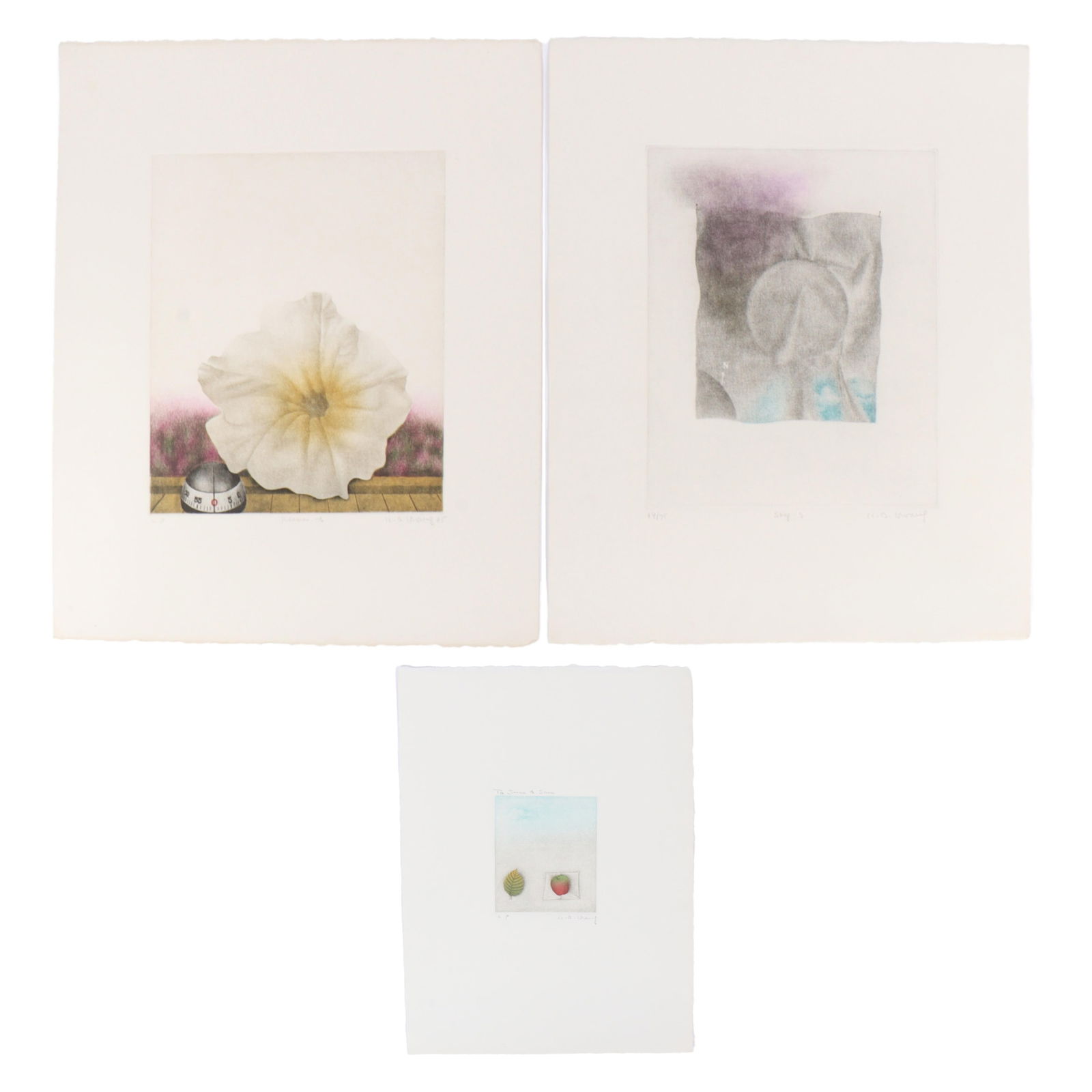 Kyu-Baik Hwang, South Korean (b. 1932), Flower-B / Sky-s / still life To June & Sam, x3 etching and (1 of 19)