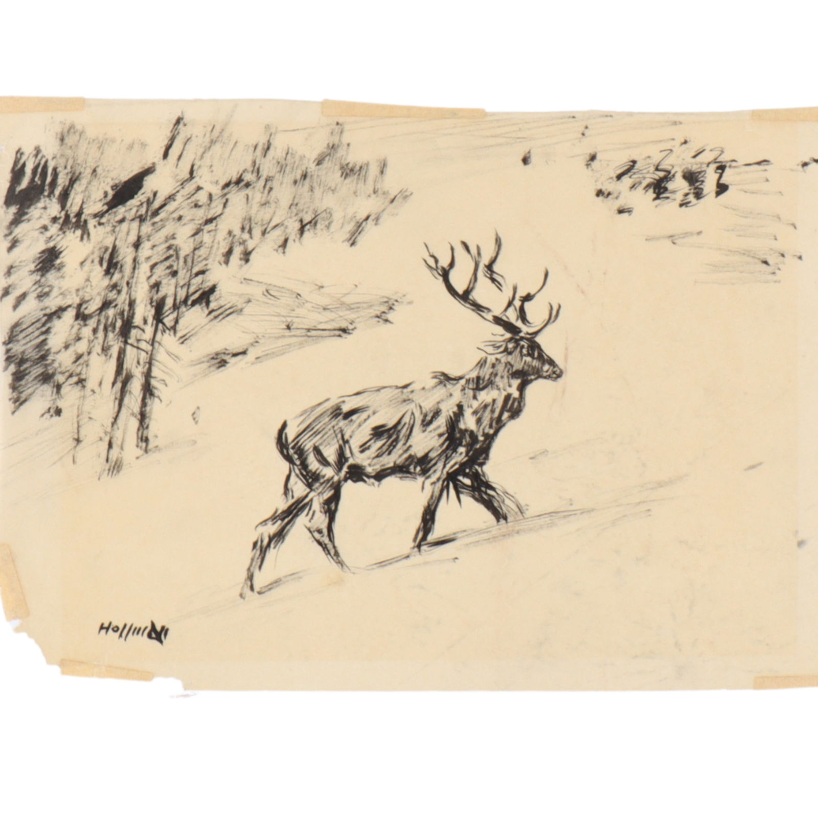 Frank B Hoffman, New Mexico / Illinois (1888-1958), Elk in Snow, 1945, ink wash on paper: Frank B Hoffman, New Mexico / Illinois (1888-1958), Elk in Snow, 1945, ink wash on paper, 8"H x 11 1/2"W